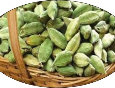 Cardamom Small