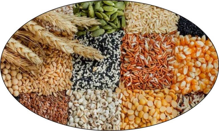 Grains and pulses