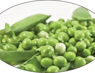 Peas Crop