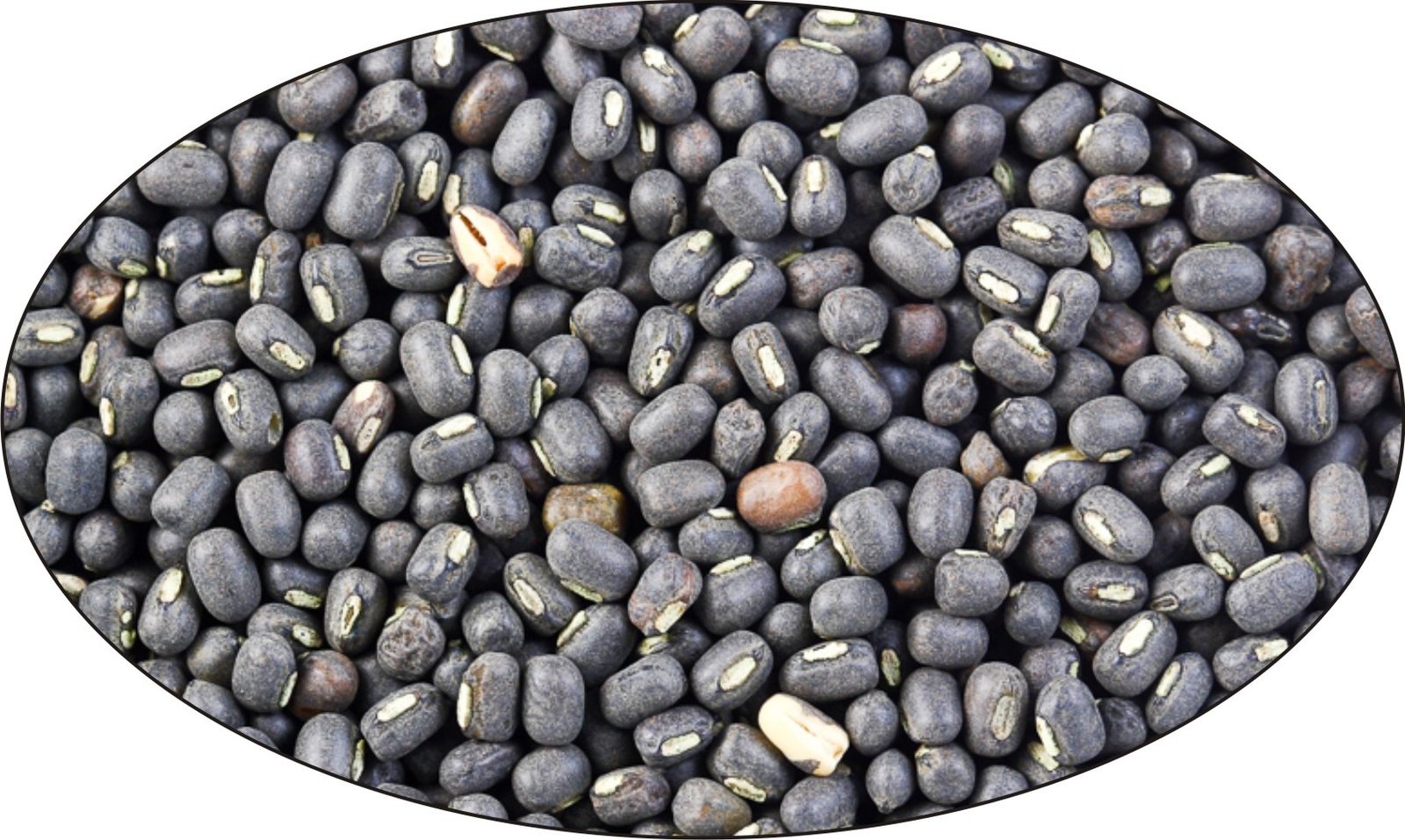 Umrad Urad: should take profit - Vyaparkesari