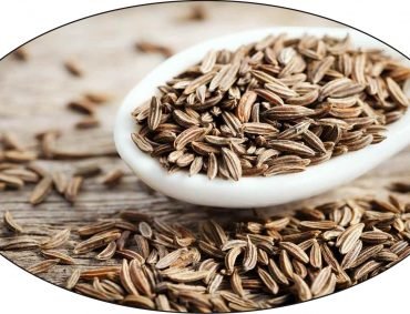 Cumin Cumin