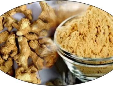 Dry Ginger