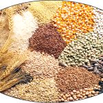 Grains and pulses