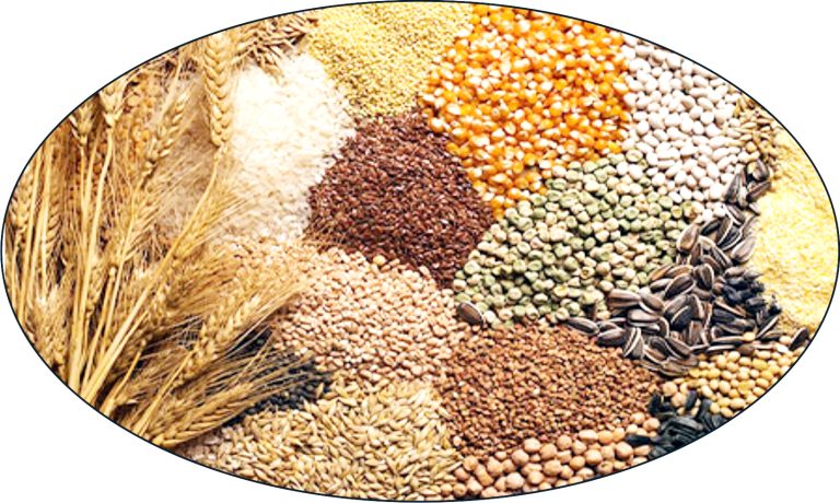 Grains and pulses