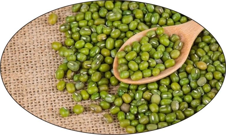 मूंग-अभी तेजी का तंत नहीं