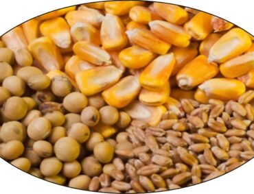 Wheat-Soyabean-Makki