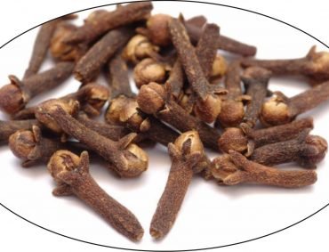 Clove