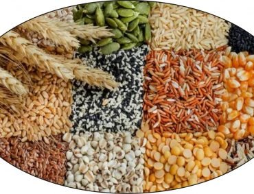 Grain & Pulses Grain & Pulses