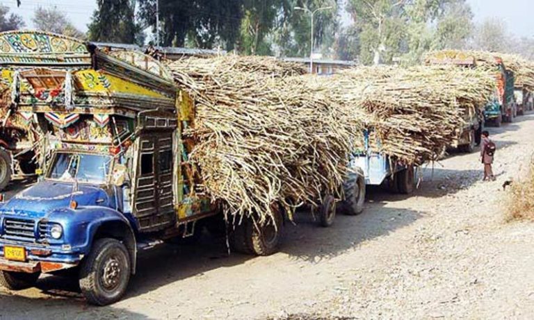 खरीफ फसलों की बुआई 704 लाख हेक्टेयर के पार, धान एवं ​दलहन के साथ तिलहन की ज्यादा