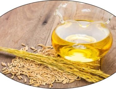 Rice Bran Oil Rice Bran Oil