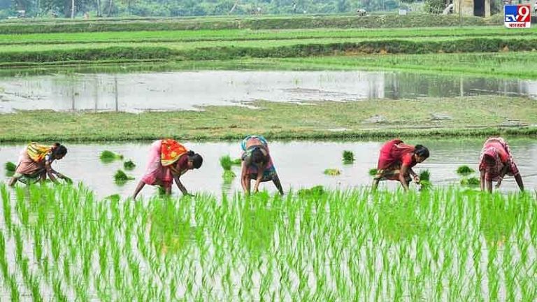 इस साल मानसूनी बारिश सामान्य से ज्यादा होने की संभावना – आईएमडी