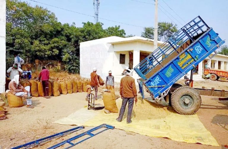 चालू समर सीजन में फसलों की कुल बुआई 5.88 फीसदी ज्यादा – कृषि मंत्रालय