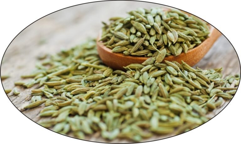 बुआई में 7 प्रतिशत कमी आने के कारण सौंफ के उत्पादन में कमी आने का अनुमान